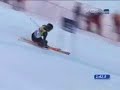 Ted Ligety / GS