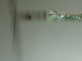 videos de 9-16-08 woodpecker