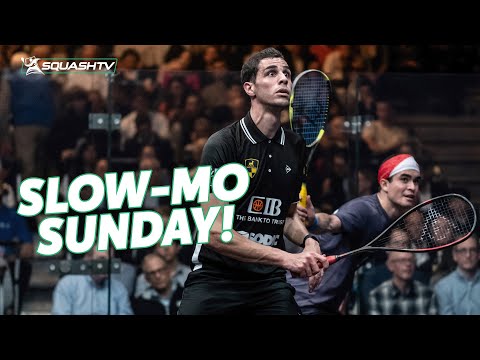A VOLLEY FEST! | Ali Farag and Diego Elias in Slow Motion | 4K Slow-Mo Sunday 