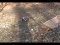 Backyard Bashing with the Nitro Evader