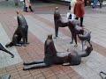 N82 Video Sample