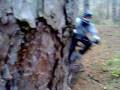 www.explorebitola.tk