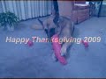 leinie turkeyday