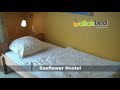 Clickbed. com - Sunflower Hostel - Berlin