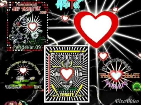 All Categories Hawaiimote9