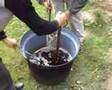 How we make Bacon`s