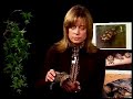 Learn about reptiles on Critter Crusades