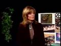 Learn about reptiles on Critter Crusades