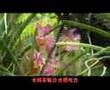 我的家就在这里