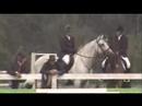 Reitverein - Dobra