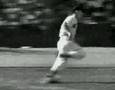 ted williams