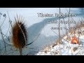Gelek Rimpoche - Tibetan Buddhism 3