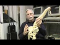 Waterloo's Dr. Spine, Stuart McGill