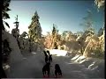 Hundekj�ring i p�skev�r.