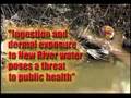New River - Most Polluted River in North America