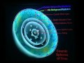 Prof. Joel R. Primack- The View from the Center of the Universe