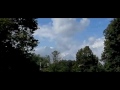 Dragonfly fly by(923)