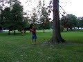 Tree Trimming German Shepherd