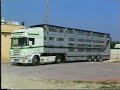 Tiertransport \"Schlacht\"pferde von Frankreich nach Italien Tiertransport \"Schlacht\"pferde von Frankreich nach Italien