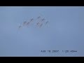 the Snowbirds the Snowbirds