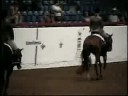 Expressly Shadow 1998 Sorrel Gelding For Sale