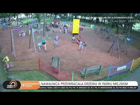 BURZA W ALEKSANDROWIE ŁÓDZKIM. LUDZIE UCIEKALI Z PARKU PRZED WALĄCYMI SIĘ DRZEWAMI