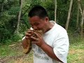 Man Opens Coconut With His Teeth (Buko King)