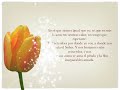 Para mi esposa Jessy Para mi esposa Jessy