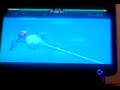 jogando znes