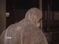 Avian Influenza - Cluck Cluck You're Dead