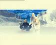 Twins - Beli Hleb I Crni Grozd Slicica
