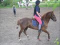 Op�ra De Le Hocq