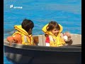 MÚSICA: \"Golfinhos\" MÚSICA: \"Golfinhos\"