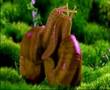Microcosmos Remake - luxxx.tv