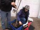 Up-potting plants
