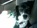 In my car In my car
