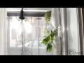 Windowfarms on Daily Candy - Vertical Veggie Farm in Your Apartment Window