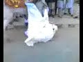 Shadi Mubarik !