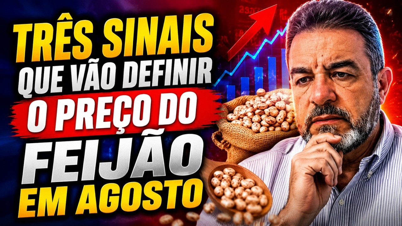 Três sinais que vão definir o preço do feijão em agosto