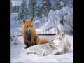 My story as fox