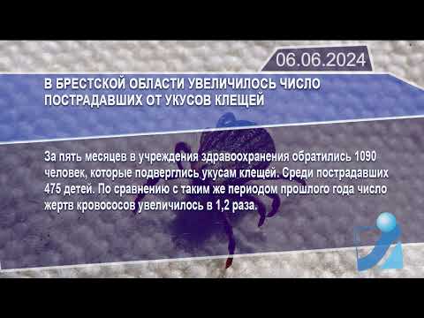 Новостная лента Телеканала Интекс 06.06.24.