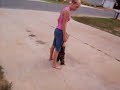 kicker cvx