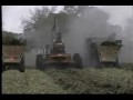 La Cane cane loader in Louisiana