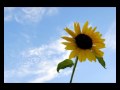 Fonzerelli - Dreaming of a Hot Summer Night