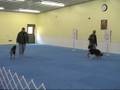 BRVFS_Nov08_Hivner-Sangrey_Pairs.wmv