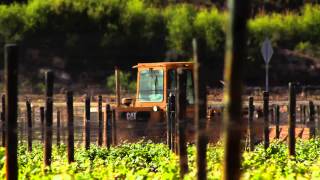 YouTube: Viña Falernia Elqui Valley Pedriscal Carmenère