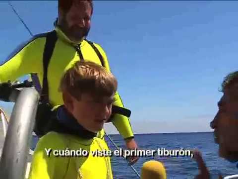 tiburon blanco