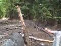 Camping and Shooting