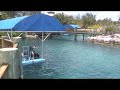 Dolphin Swim - two foot push