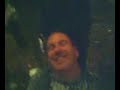 Timlin Mustache
